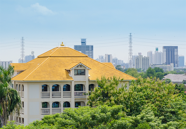 Rajapark Institute